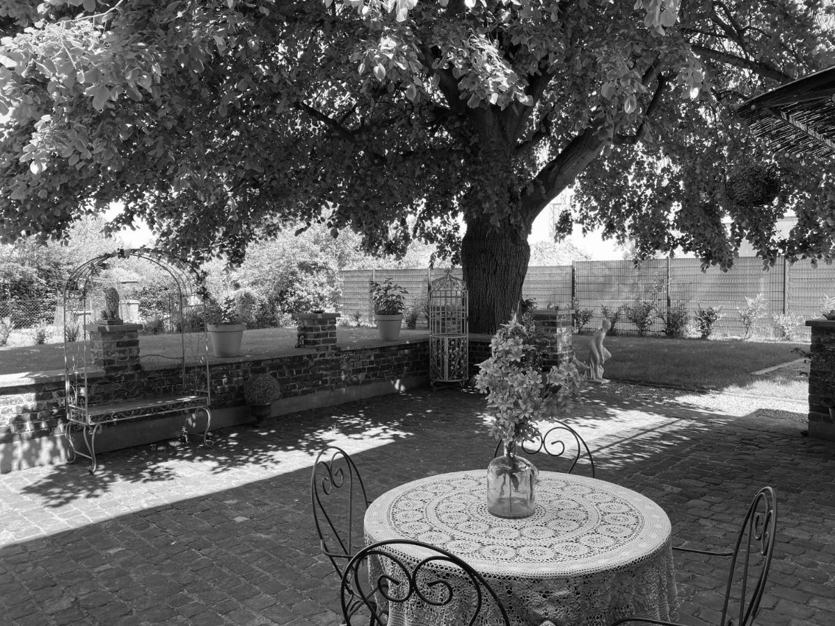 La Villa Des Roses - Suite & Spa Lys-lez-Lannoy Екстер'єр фото